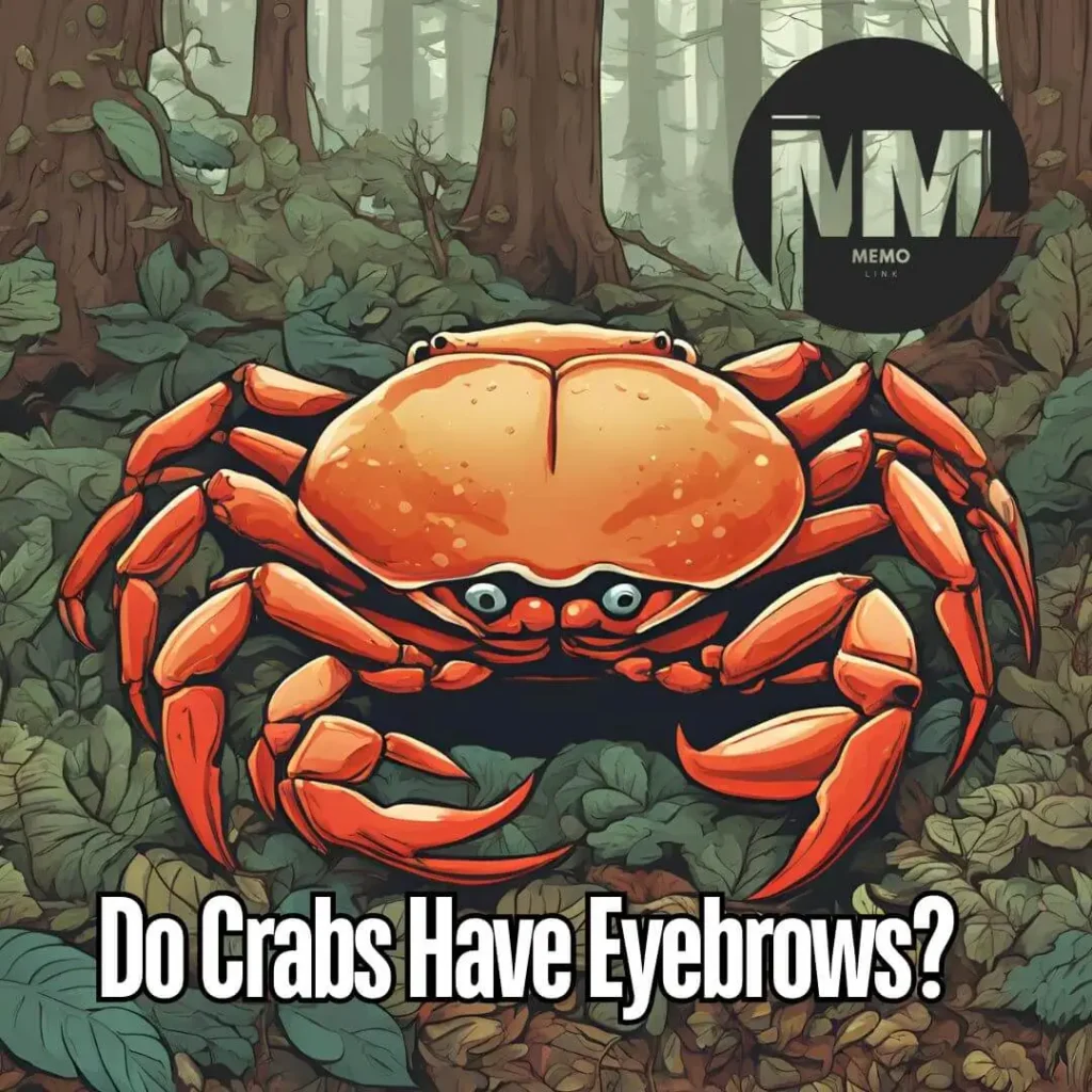 Do Crabs Have Eyebrows?