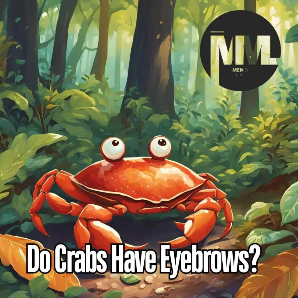 Do Crabs Have Eyebrows?